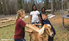 Humor -  Fun Animals Goats - Goatee Serie 02 