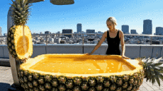 Humour - Fun I.A Mix Douches de Reves 