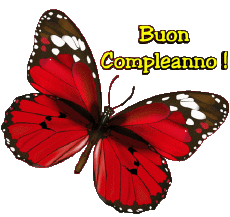 Messages Italien Buon Compleanno Farfalle Fond Transparent 004 
