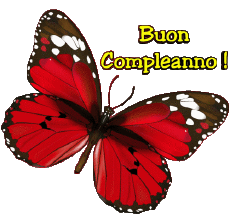 Messagi Italiano Buon Compleanno Farfalle 004 