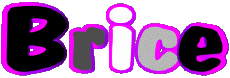 Nombre MASCULINO - Francia B Brice 
