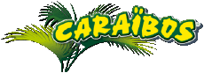 Boissons Jus de Fruits Caraibos 