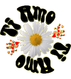 Messages Italien Ti Amo 04 