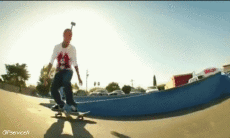 Umorismo -  Fun Sportivo Skateboard Free Style Fun - Win 02 