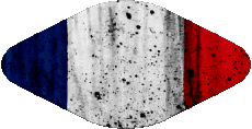 Drapeaux France National Ovale 
