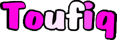 First Names MASCULINE - Maghreb Muslim T Toufiq 