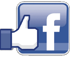 Multimedia Computer - Internet Facebook 