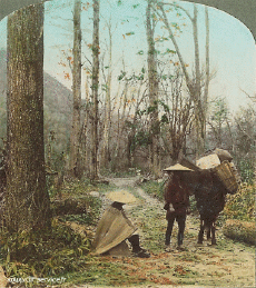 Humor - Fun Efectos 3d Stéreoscopique Wiggle 