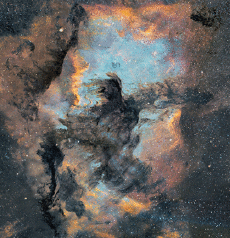 Humor -  Fun GIF Artists George RedHawk - Couleur 