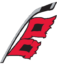 Sportivo Hockey - Clubs U.S.A - N H L Carolina Hurricanes 