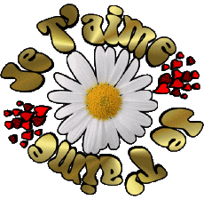 Messages French Je T'aime 05 