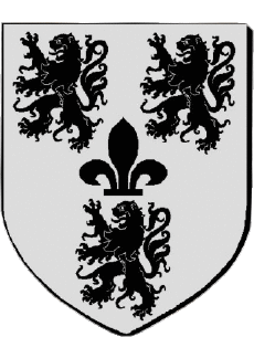 Blasone-Bandiere Francia Dipartimenti - Città 80 VILLERS BRETONNEUX 