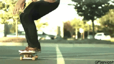 Humor -  Fun Sports Skateboard Free Style Fun - Win 02 