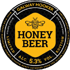 Getränke Bier Irland Galway-Hooker 