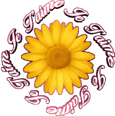 Messagi Francese Je T'aime 03 