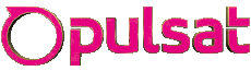 Multi Media Stores Pulsat 