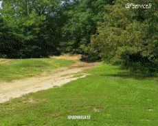 Humor - Fun Transporte Quad Fun - Win 