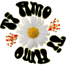 Messages Italian Ti Amo 04 