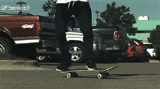 Humor -  Fun Sports Skateboard Free Style Fun - Win 02 