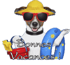 Nachrichten Französisch Bonnes Vacances Transparenter Hintergrund 03 