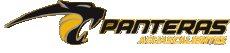 Sports Basketball Mexique Panteras de Aguascalientes 