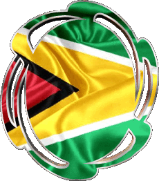 Drapeaux Amériques Guyana Forme 01 