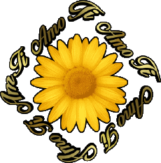 Messages Italian Ti Amo 02 