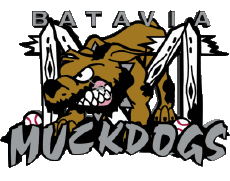 Sport Baseball U.S.A - New York-Penn League Batavia Muckdogs 