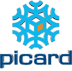 Comida Congelado Picard 