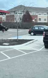 Humor -  Fun In the street Mix 03 