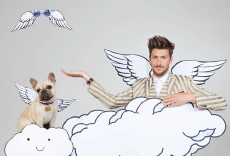 Umorismo -  Fun GIF Artista Elle Muliarchyk 