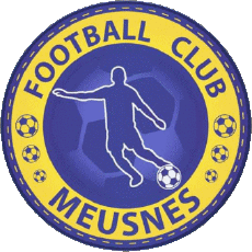 Sportivo Calcio  Club Francia Centre-Val de Loire 41 - Loir et Cher FC Meusnes 