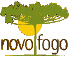 Bebidas Cachaca Novo Fogo 