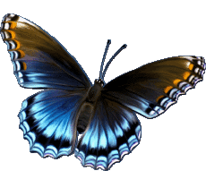 Nachrichten Deutsche Alles Gute zum Geburtstag Schmetterlinge Transparenter Hintergrund 006 