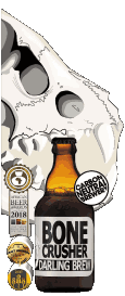 Getränke Bier Südafrika Darling-Brew-Beer 