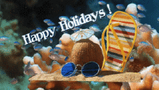 Messagi Inglese Happy Holidays Sfondo animato 006 