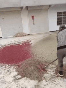 Humor - Fun GENTE En el trabajo Fun - Win 02 