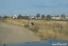 Humor - Fun Transporte Trenes - Metro Accidente 