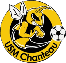 Sports FootBall Club France Logo Centre-Val de Loire 45 - Loiret USM Chanteau Futsal 