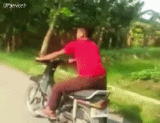 Humor -  Fun Transport Motorräder Straße - Fail 