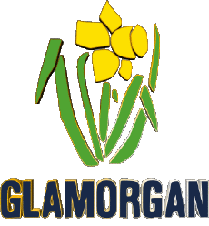 Deportes Cricket Reino Unido Glamorgan County 