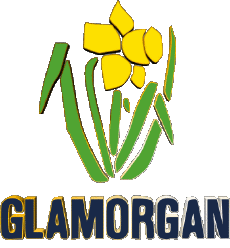 Sportivo Cricket Regno Unito Glamorgan County 