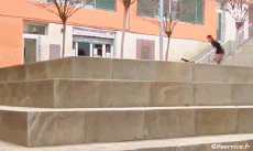 Humor -  Fun Sports Skateboard Free Style Fun - Win 01 