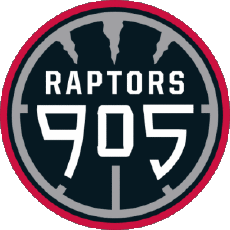 Sportivo Pallacanestro U.S.A - N B A Gatorade Raptors 905 