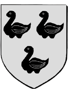 Drapeaux France Départements - Villes 67 SCHILTIGHEIM 