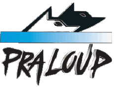 Sport Skigebiete Frankreich Südalpen Pra Loup 