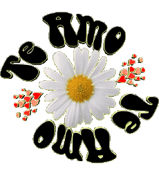 Nachrichten Spanisch Te Amo 04 