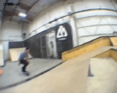 Humor -  Fun Sports Skateboard Free Style Fun - Win 03 