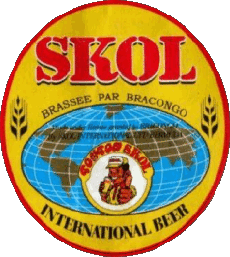 Bebidas Cervezas Brazil Skol 