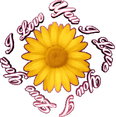 Messagi Inglese I Love You 02 